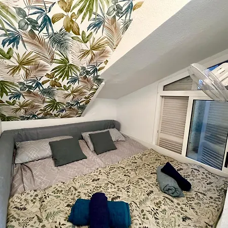 La Mata 托雷维耶哈